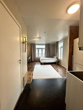 Sentral studioleilighet